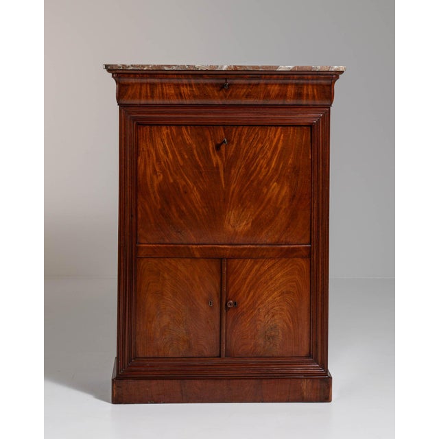 19th Century France Biedermeier Rose Wood Storage Cabinets & Cupboards For Sale - Image 10 of 10