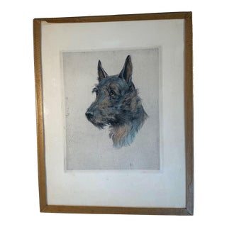 Vintage French Original Colored Etching of a Terrier Dog For Sale