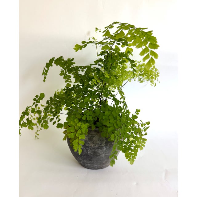 Vintage Chinese handmade pottery originally used for food storage with applied lamb's ear handles. Time earned patina has...