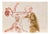 Mino Maccari, Wild Dance, 1950s, Watercolor For Sale