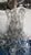 Early 20th Century Early 20th Century Large Scale Italian Beaded Chandelier For Sale - Image 5 of 8