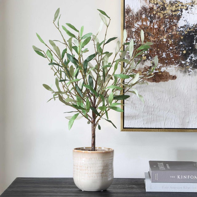 Graceful And Compact, Bringing Timeless Mediterranean Charm To Any Space. Featuring Softly Hued Green And Silvery Leaves...