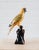 1960s Vintage Cloisonne Yellow Parrot For Sale In Seattle - Image 6 of 6