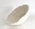 Late 20th Century Natural White Bowl Coral Specimen Coastal Home For Sale - Image 5 of 9