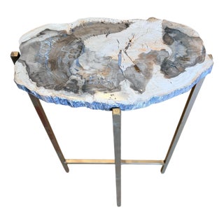 Extremely Rare Petrified Wood Slab Made Into a Table For Sale