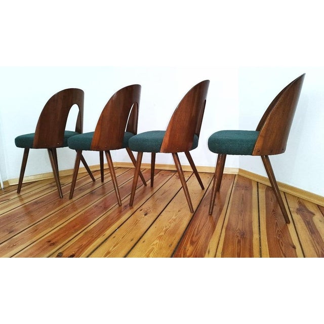 Dining Chairs by A. Suman for Tatra Nabytok, Former Czechoslovakia, 1960s, Set of 4 For Sale - Image 13 of 18