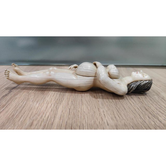 German Anatomical Model of a Pregnant Woman by Stephen Zick, 1700s For Sale - Image 13 of 18