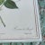 English Early 20th Century Botanical Print of a Rose. Langlois Sculp., Framed For Sale - Image 3 of 6