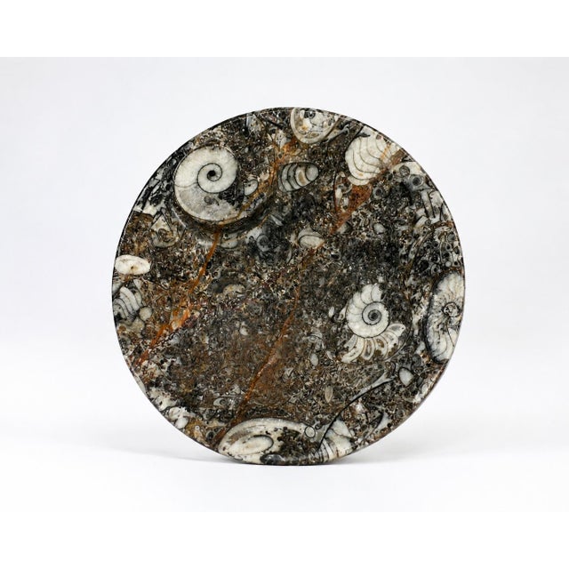 2020s Pair Ammonite Plates Fossil Millions Years Natural Finely Crafted For Sale - Image 5 of 13