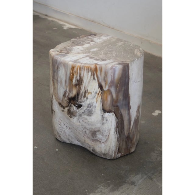 Petrified Stool - Single For Sale - Image 14 of 17