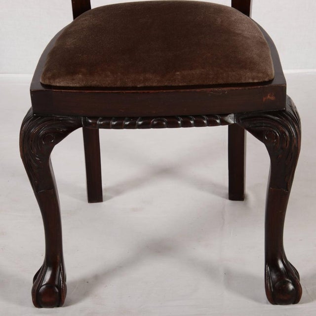 Antique Chairs in Oak, 1910, Set of 6 For Sale - Image 16 of 18
