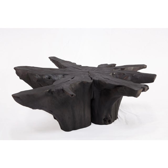 Black Burnt Organic Teak Root Coffee Table 81 For Sale In Greensboro - Image 6 of 6