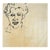 "Portrait of Curiosity" by Martha Holden For Sale