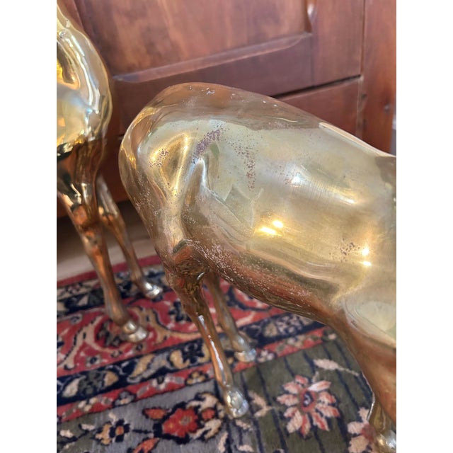 Mid 20th Century Large Polished Brass Deer Statues - A Pair For Sale - Image 11 of 11