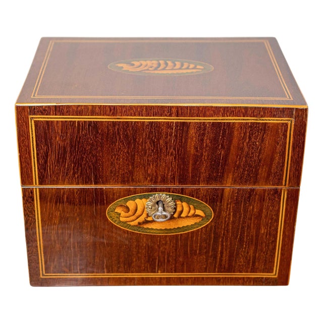Danish 1840s Mahogany Box with Ash Shell Marquetry, Banding and Lateral Handles For Sale