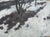 Winter Landscape Oil Painting Original Art Ukrainian Artist Sokolovsky G. 1960s For Sale - Image 6 of 6