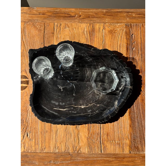 Large Trinket Tray in Black Petrified Wood For Sale - Image 9 of 16