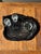 Large Trinket Tray in Black Petrified Wood For Sale - Image 9 of 16