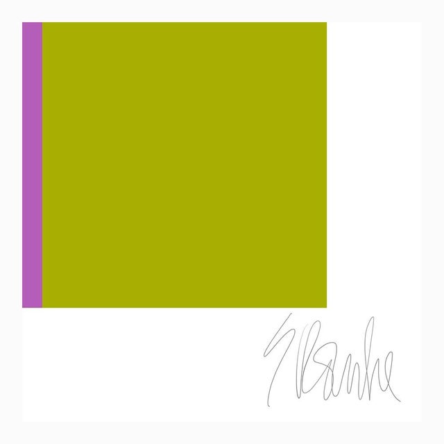 Not Yet Made - Made To Order Color's Cooperation No. 4 Fine Art Print 35" X 55" by Liz Roache For Sale - Image 5 of 7