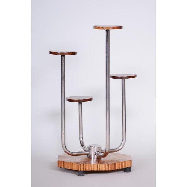 Wood Bauhaus Chrome and Zebrano Wood Flower Stand attributed to Mücke-Melder, Czechoslovakia, 1930s For Sale - Image 7 of 8