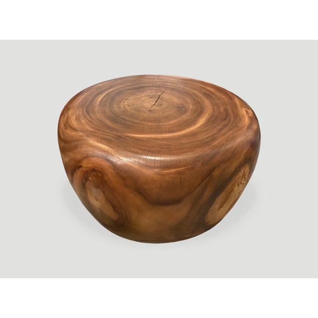 Andrianna Shamaris Drum Shape Suar Wood Coffee Table For Sale - Image 17 of 18