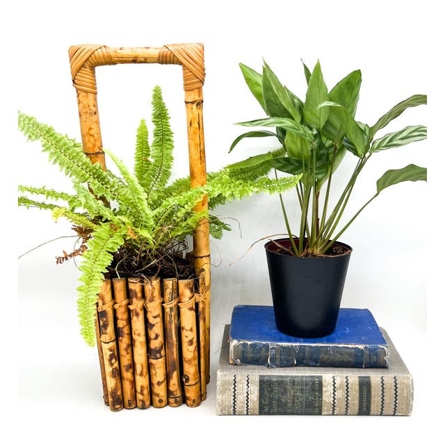 Vintage burnt bamboo basket with a tall handle, upright sides, and rattan-wrapped joints. Its slightly tilted stance gives...