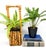 Vintage burnt bamboo basket with a tall handle, upright sides, and rattan-wrapped joints. Its slightly tilted stance gives...