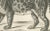 19th-century lithograph of the jaguar, also known as the american tiger this striking 19th-century lithograph presents the...
