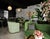 Vintage Art Deco Style Milk Glass & Brass Chandelier For Sale - Image 10 of 11