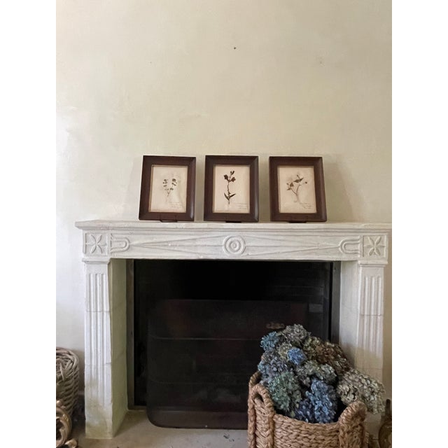 Paper 19th Century Swedish Herbarium, Violet - Woodland Collection For Sale - Image 7 of 7