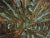 1970s Decorative Copper Wall Artwork, 1970s For Sale - Image 5 of 10