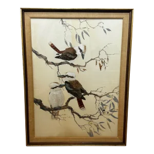 Australian Watercolor Painting Kookaburras Birds Perched in Bush Outback Signed Robin Hill Dated 196