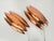 Copper Copper Kastor Wall Lamps by Jo Hammerborg for Fog & Mørup, 1960s, Set of 2 For Sale - Image 8 of 15