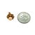 Traditional 1970s 14k Yellow Gold Angel Skin Coral Flower Stud Earrings For Sale - Image 3 of 3