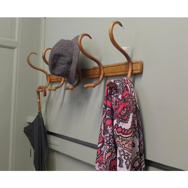 Early 20th Century Large Bentwood Hat and Coat Hooks, 1900 For Sale - Image 5 of 6