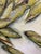 Early 21st Century Ears of Corn Acrylic on Canvas Painting, Unsigned For Sale - Image 5 of 12