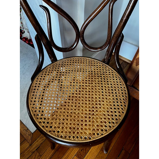 Early 20th Century Early 20th Century Thonet #4 Bentwood & Cane Cafe Daum Bistro Dining Chair For Sale - Image 5 of 9