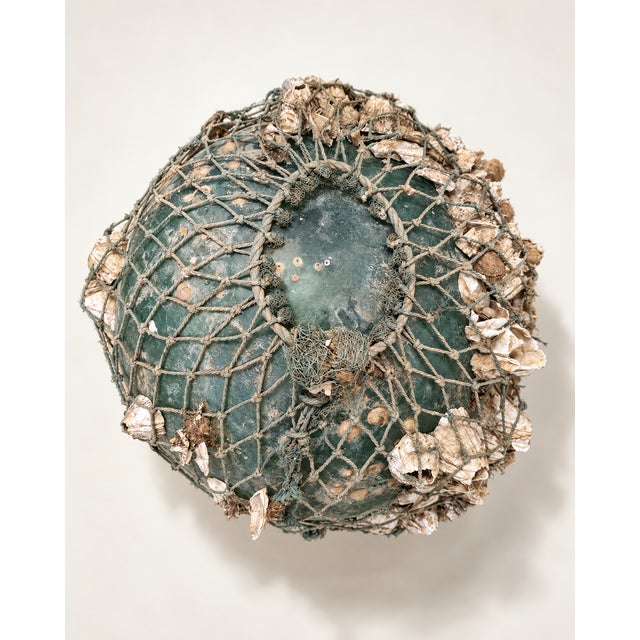 Vintage Glass Fishing Float With Rope Netting & Barnacles For Sale - Image 4 of 4