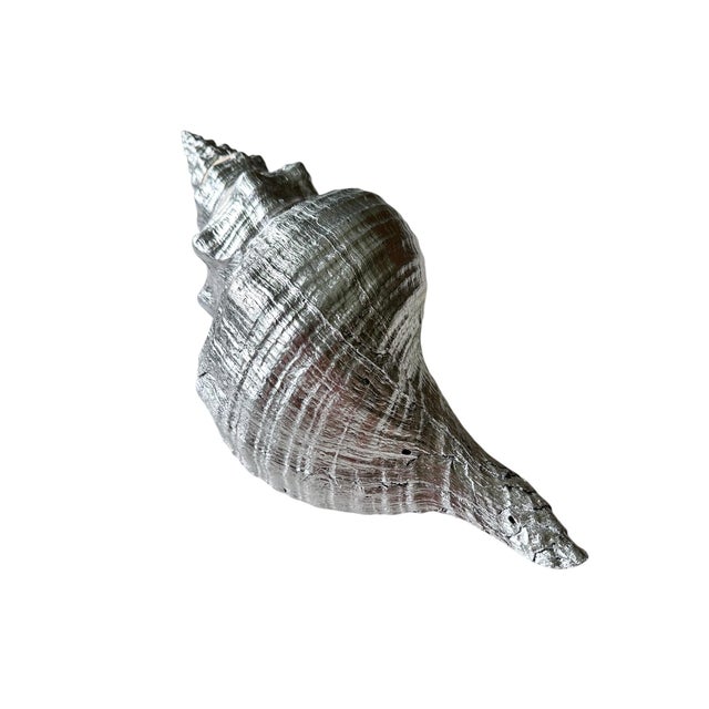 Oversized 14” Silver Leaf Horse Conch Shell Sculpture – Natural Coastal Object, Hand-Finished Organic Luxe Decor For Sale In Miami - Image 6 of 7