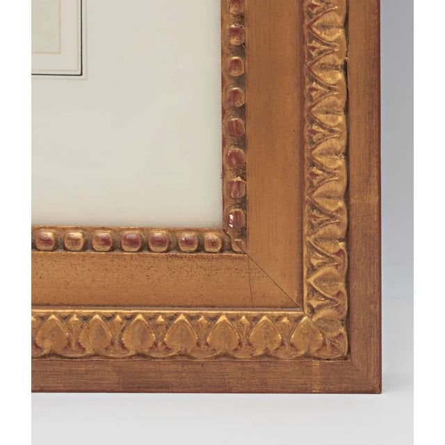 18th Century Botanical Print by George Dionysius Ehret For Sale - Image 4 of 6