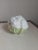 Late 20th Century Cauliflower Tromp l'Oiel Single Serve Covered Soup Bowl For Sale - Image 4 of 7