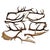 European Collection of Elk and Moose Antlers - Set of 9 For Sale - Image 15 of 18
