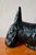 Vintage Ceramic Scottish Terrier For Sale - Image 10 of 13