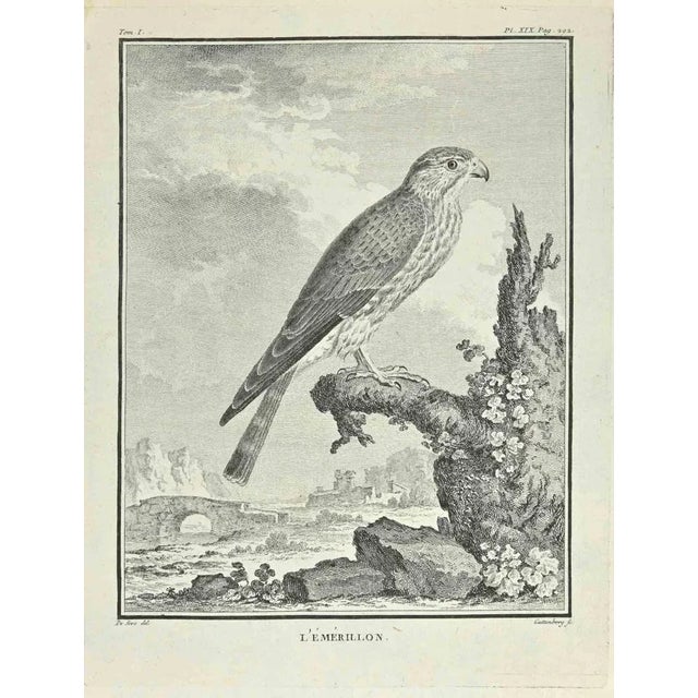 The swivel is an etching realized by Carl Guttenberg in 1771. The artwork Belongs to the suite "Natural, general and...