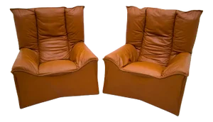 Set of Mid-Century Modern Leather Chairs by Cinova, 1964