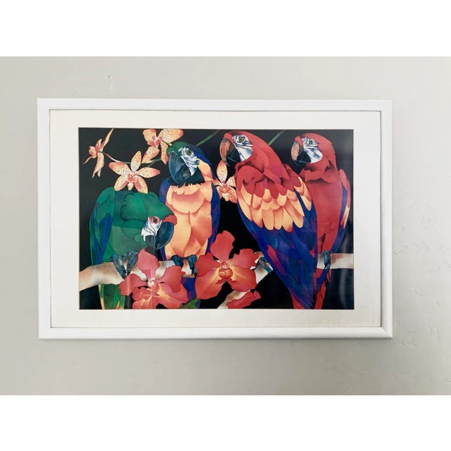 Parrots on a Branch Vivid Color Framed Watercolor Print For Sale - Image 4 of 4