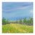 A Walk in the Park Acrylic Painting 8" X 8" Unframed Nature Themed Wall Art For Sale