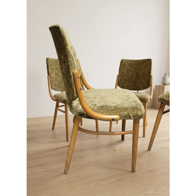 Bentwood Dining Chairs in Beechwood & Olive Velour from TON, Czechoslovakia, 1970s, Set of 4 For Sale - Image 4 of 9