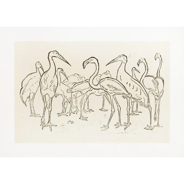 Storks and Flamingos - Original Woodcut by Unknown French Artist Early 1900 For Sale - Image 3 of 3