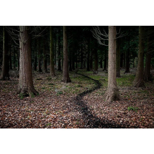 Come With Me 5 is a Digital C-Type Print on Fuji Maxima Matte paper, available in this size from a Limited Edition of 7 +...